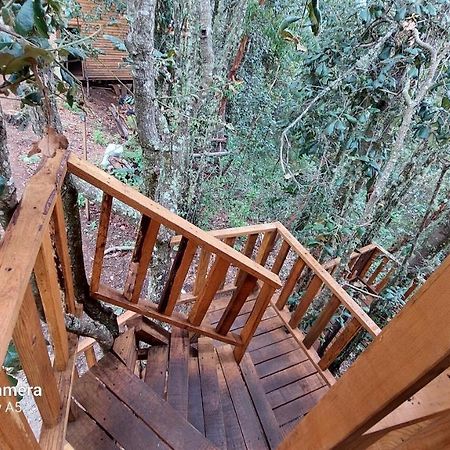 Cabana En El Bosque De San Jose Del Pacifico ภายนอก รูปภาพ