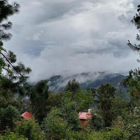Cabana En El Bosque De San Jose Del Pacifico ภายนอก รูปภาพ