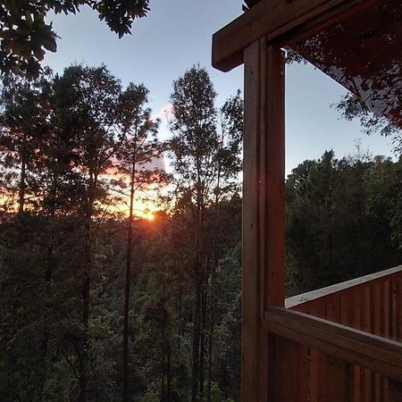 Cabana En El Bosque De San Jose Del Pacifico ภายนอก รูปภาพ