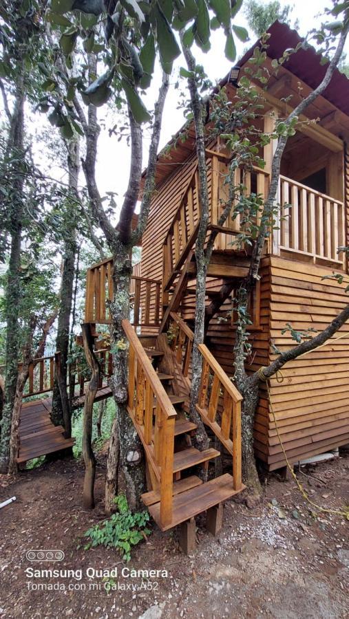 Cabana En El Bosque De San Jose Del Pacifico ภายนอก รูปภาพ