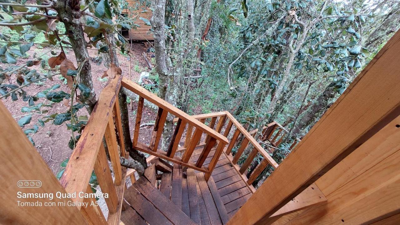 Cabana En El Bosque De San Jose Del Pacifico ภายนอก รูปภาพ