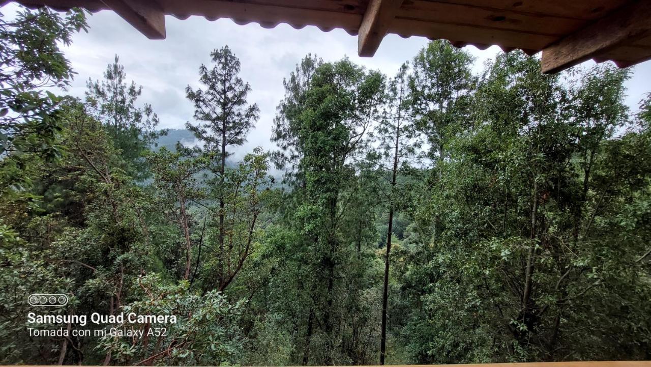 Cabana En El Bosque De San Jose Del Pacifico ภายนอก รูปภาพ