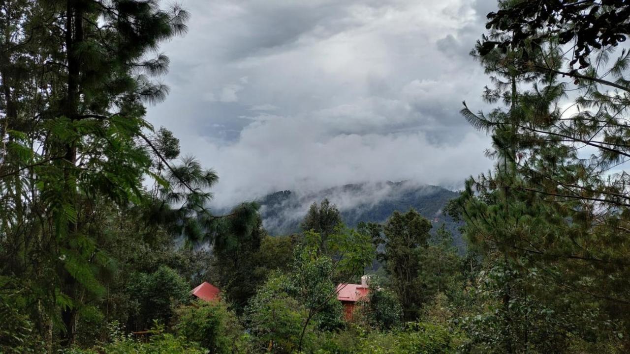 Cabana En El Bosque De San Jose Del Pacifico ภายนอก รูปภาพ