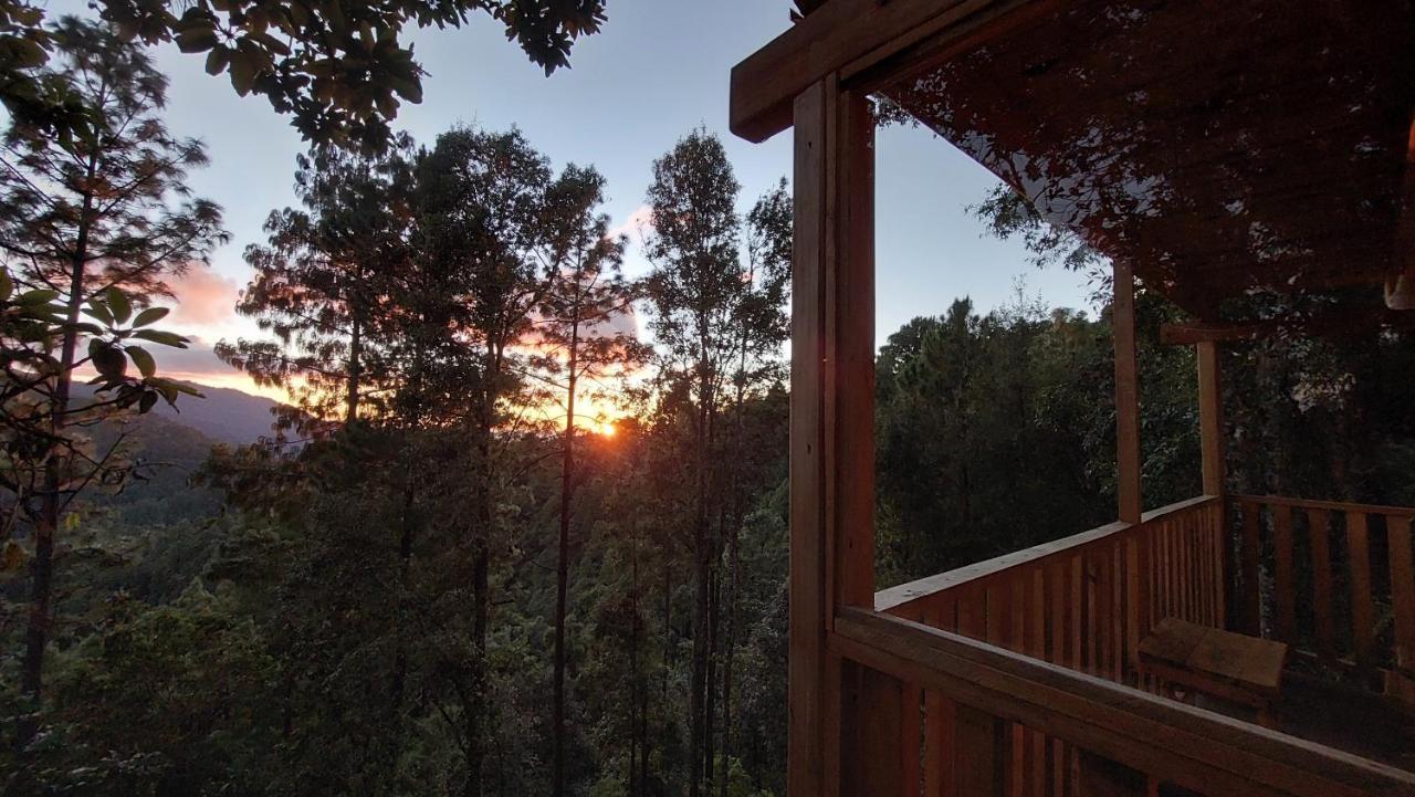 Cabana En El Bosque De San Jose Del Pacifico ภายนอก รูปภาพ