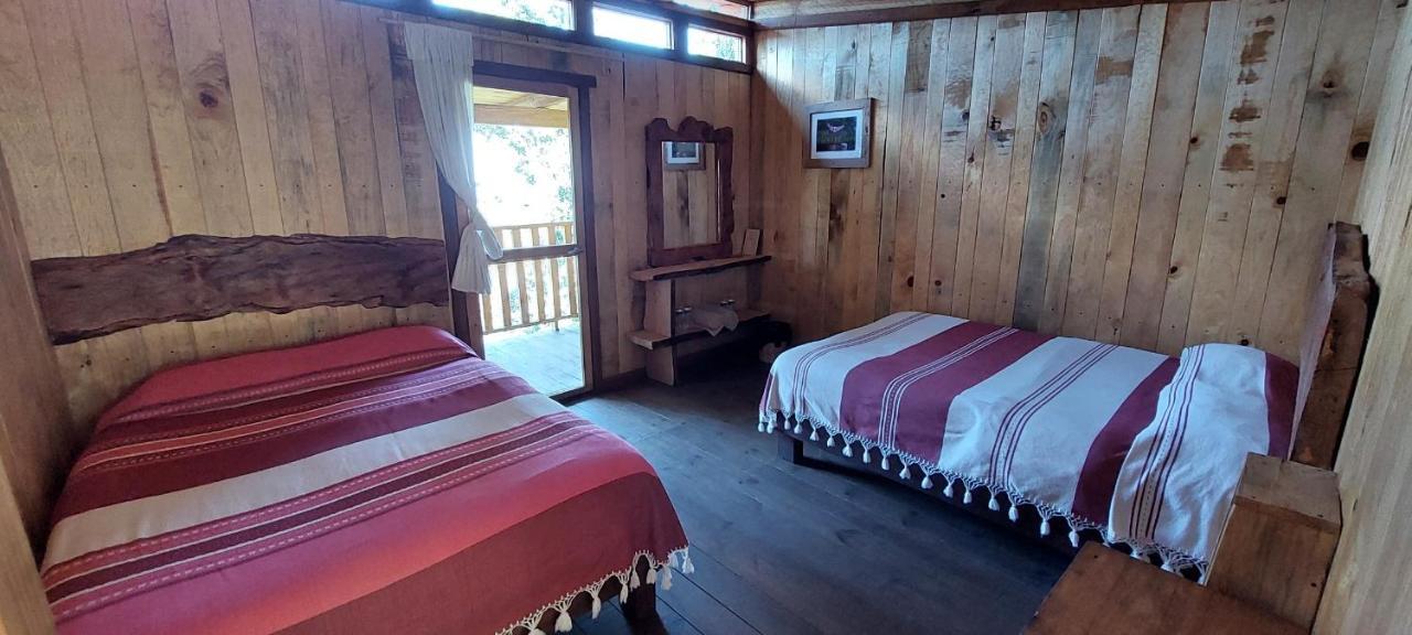 Cabana En El Bosque De San Jose Del Pacifico ภายนอก รูปภาพ