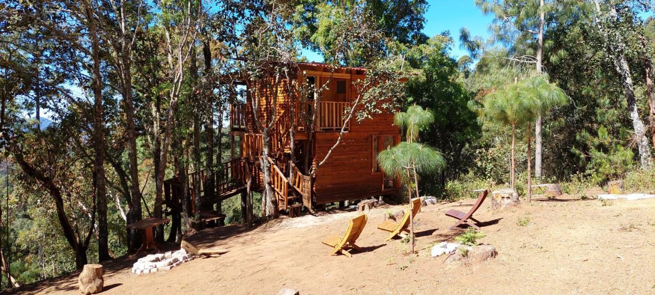 Cabana En El Bosque De San Jose Del Pacifico ภายนอก รูปภาพ