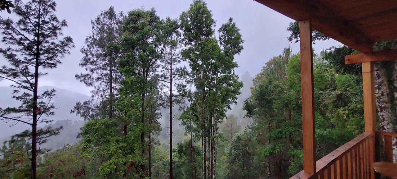 Cabana En El Bosque De San Jose Del Pacifico ภายนอก รูปภาพ