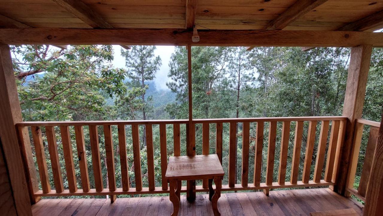 Cabana En El Bosque De San Jose Del Pacifico ภายนอก รูปภาพ