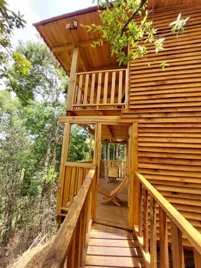 Cabana En El Bosque De San Jose Del Pacifico ภายนอก รูปภาพ